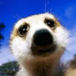 Meet your Posher, Willow